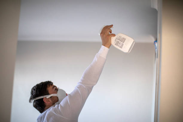 Best Office Mold Removal Services  in Calumet Park, IL