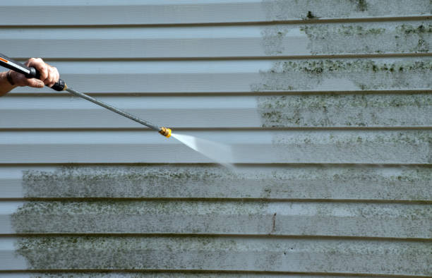 Certified Mold Removal in Calumet Park, IL