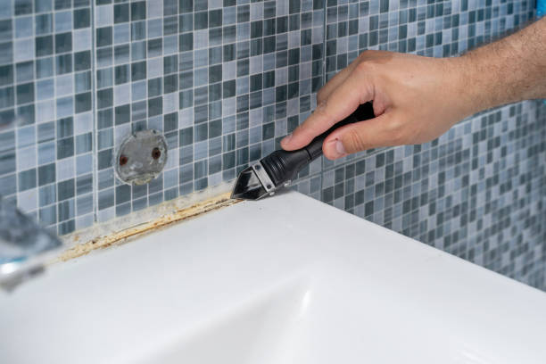 Best Same-Day Mold Removal  in Calumet Park, IL