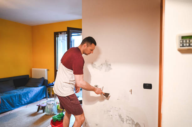 Best Mold Cleaning Services  in Calumet Park, IL